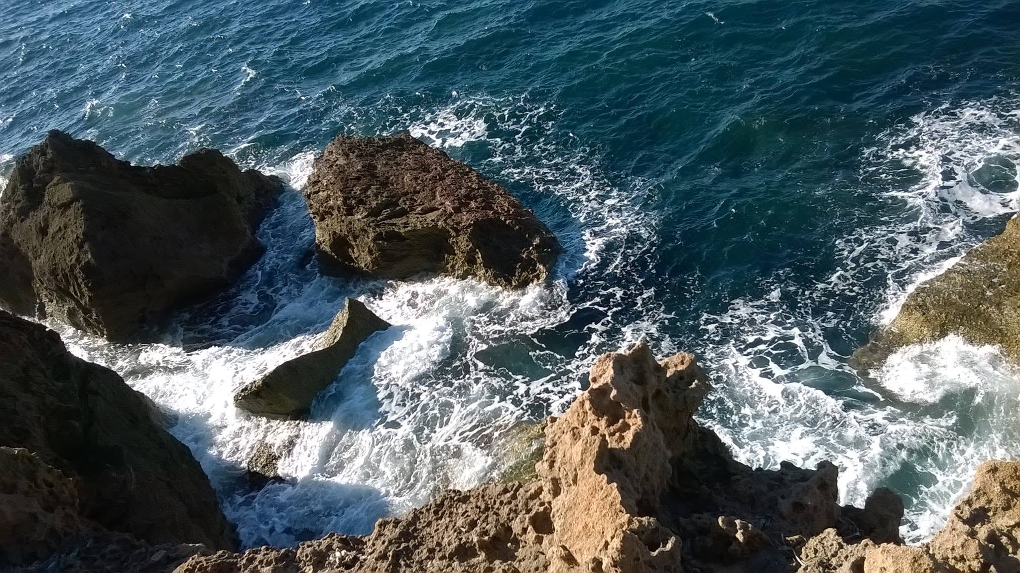 Tunisian discoveries