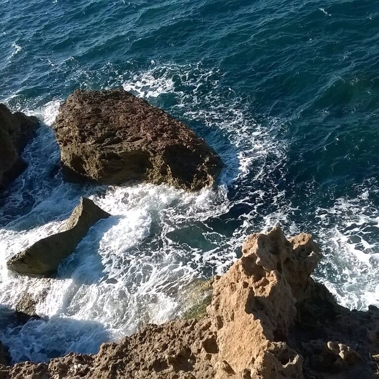 Tunisian discoveries