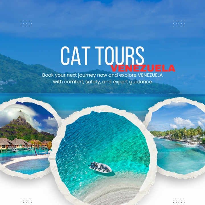 CAT TOURS TRAVEL
