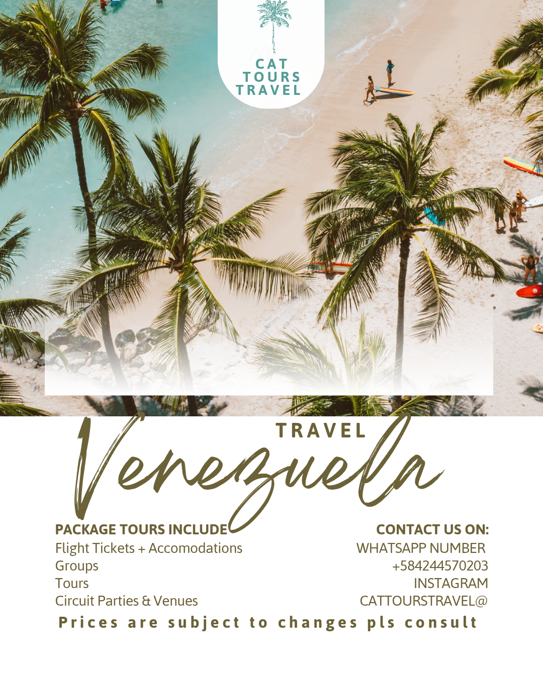 CAT TOURS TRAVEL