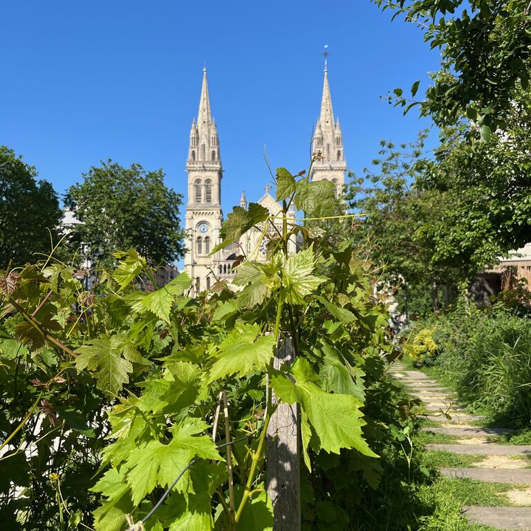 Paris Wine Walks
