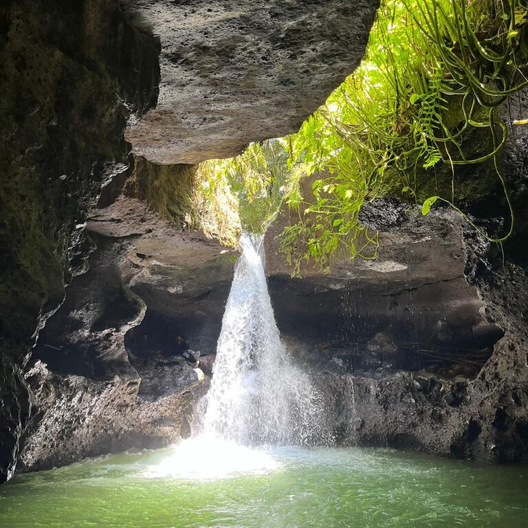 GreenStep Tetebatu Tour Guide