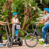 Mobilboard Nice
