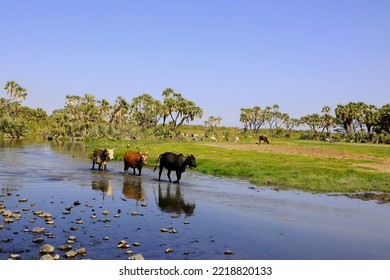 Hike in Ethiopia Tours