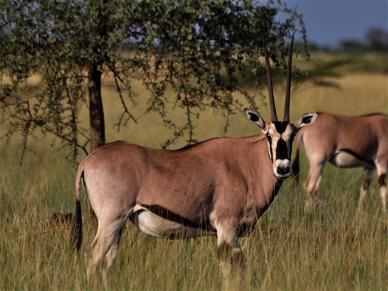 Hike in Ethiopia Tours