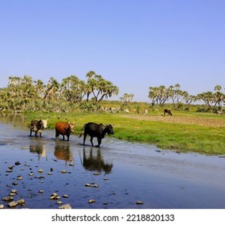 Hike in Ethiopia Tours