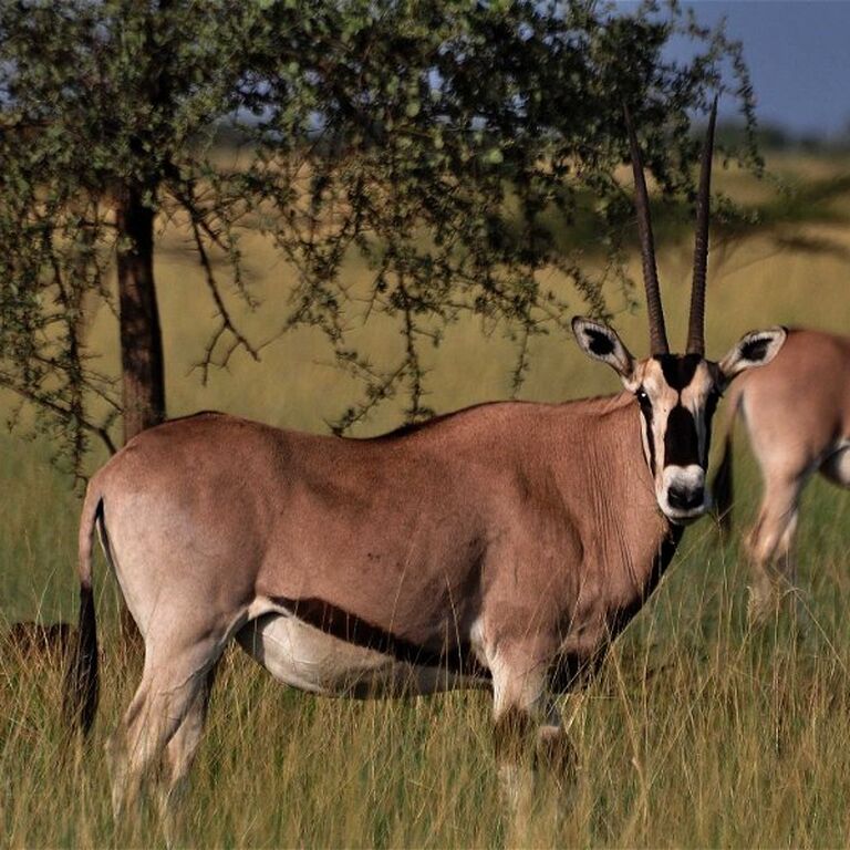 Hike in Ethiopia Tours