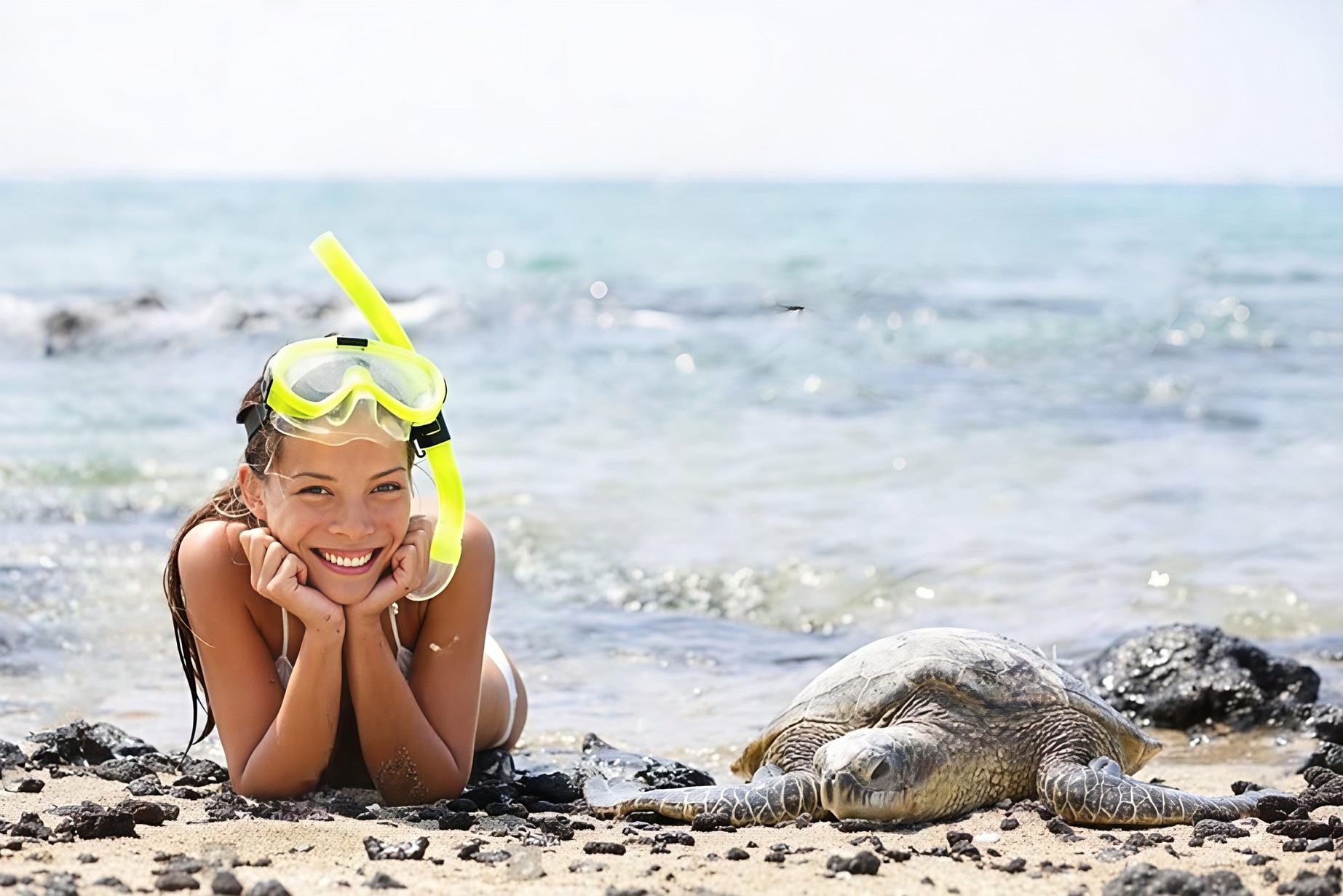 ALOHA FANTASY TOURS,LLC