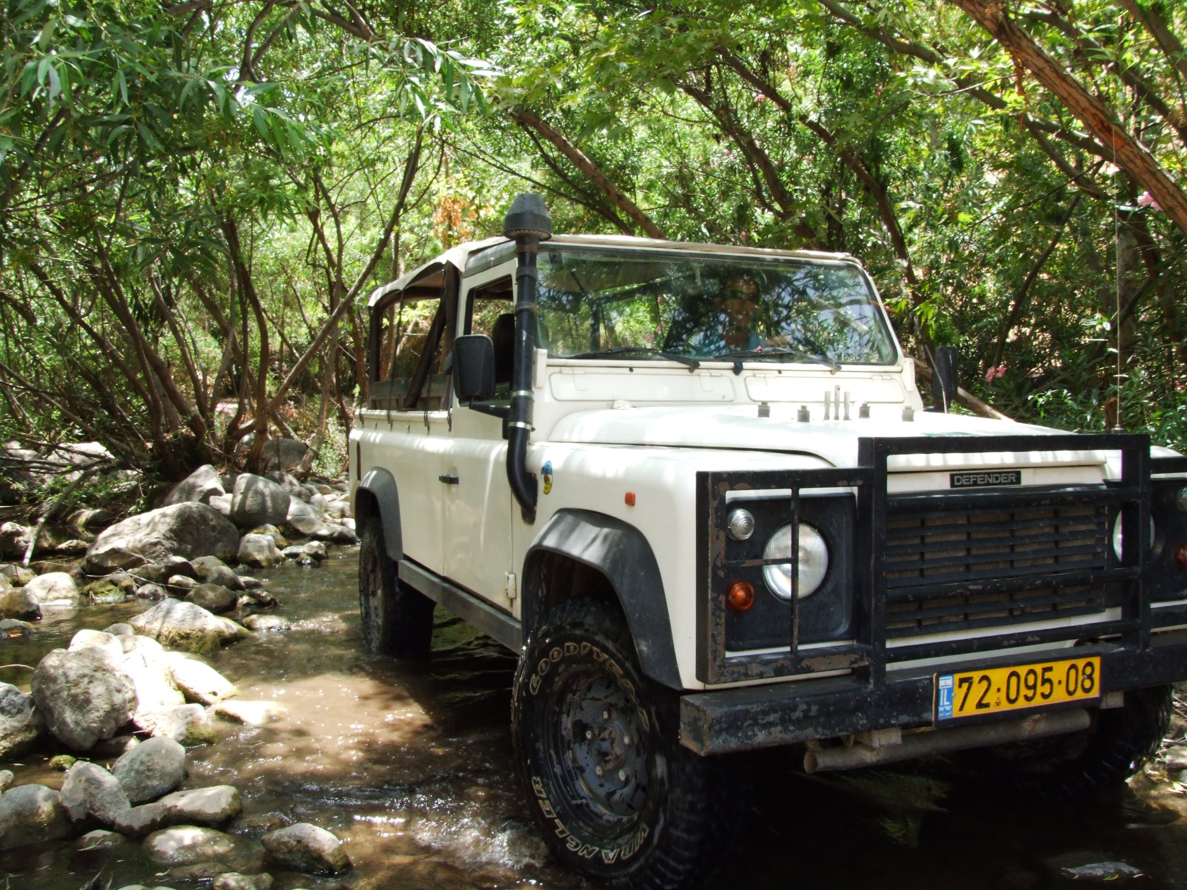 Israeli Wild