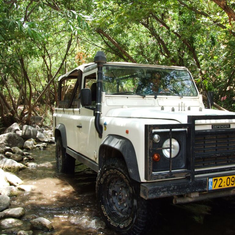 Israeli Wild