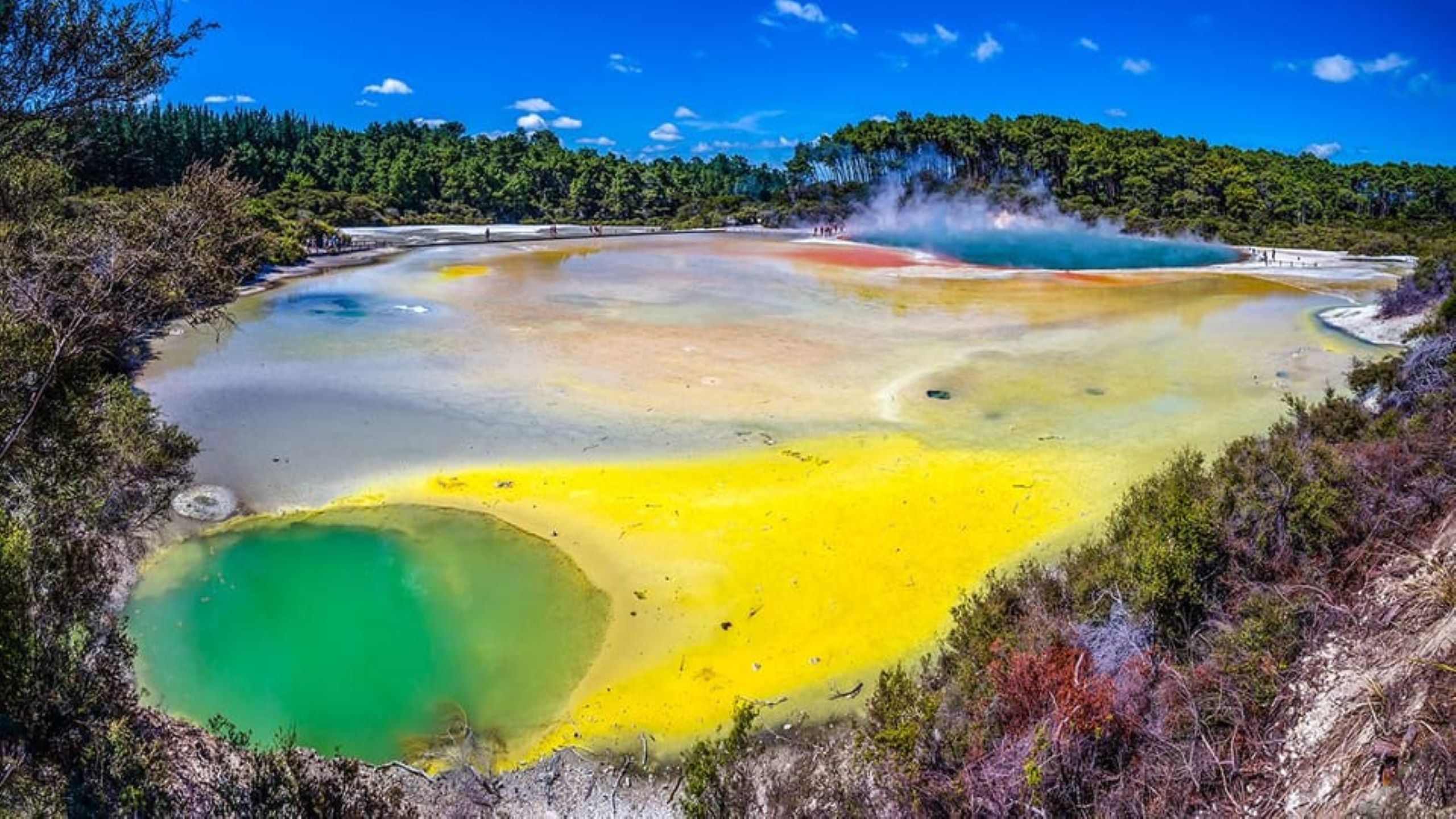 ENZOY TOURS LIMITED