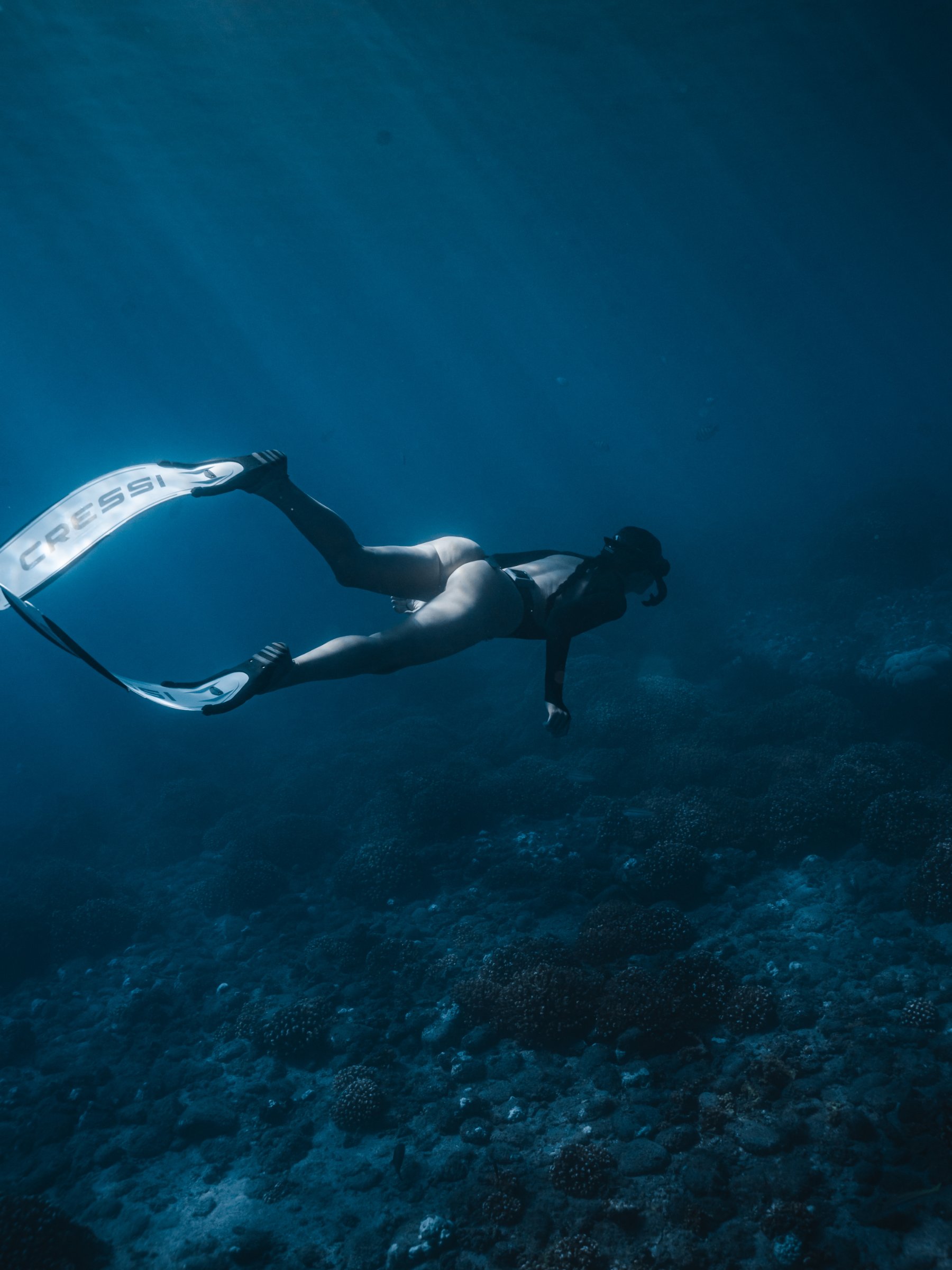 Salty Souls Freediving Club