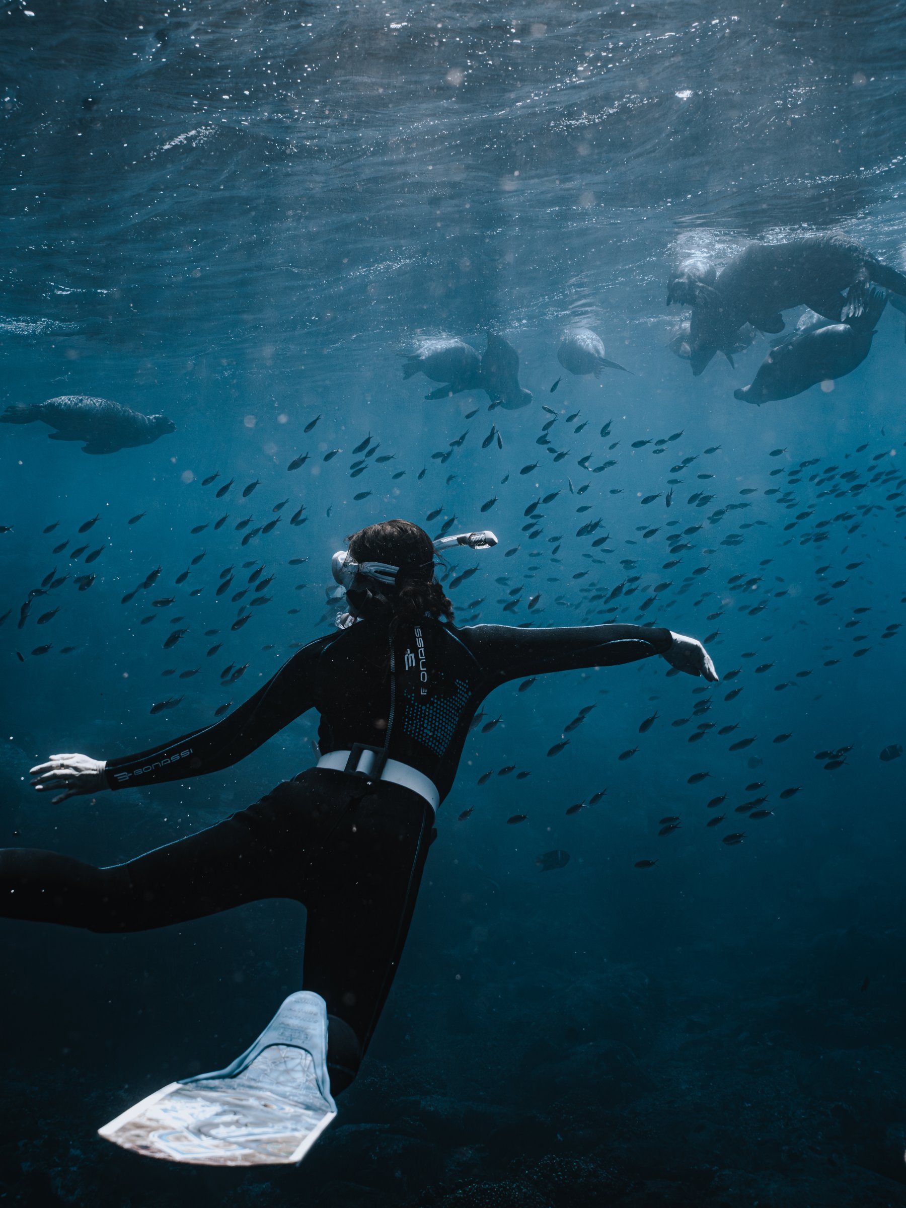 Salty Souls Freediving Club