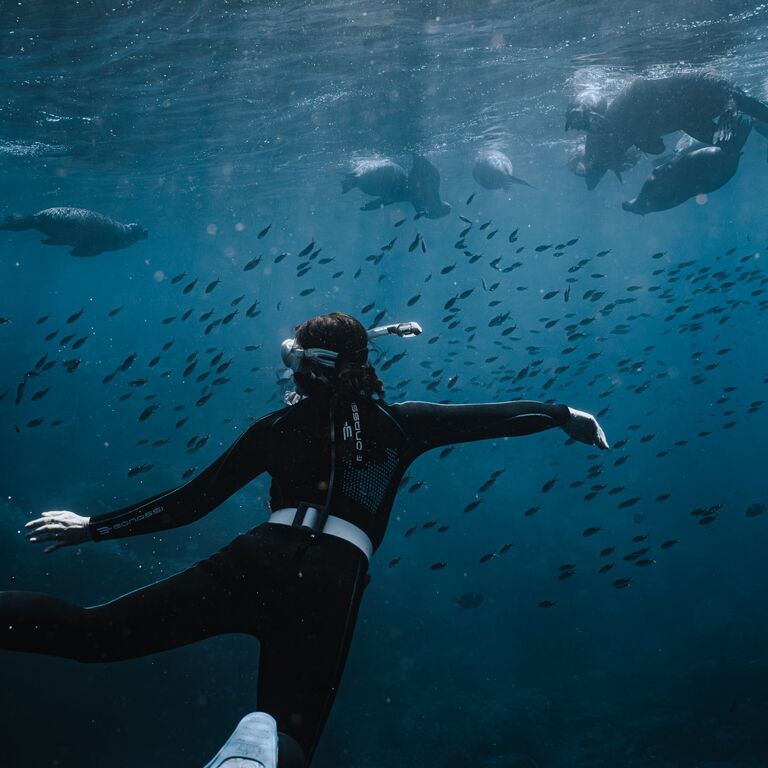 Salty Souls Freediving Club