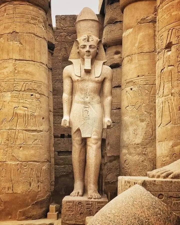 Bamboo Egypt Retreats & Travel