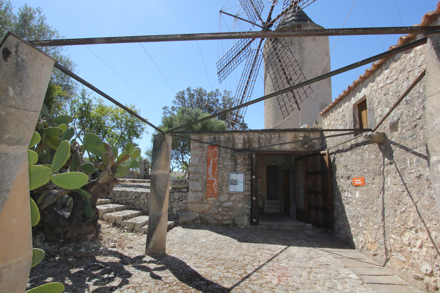 Museu Arqueològic Son Fornés
