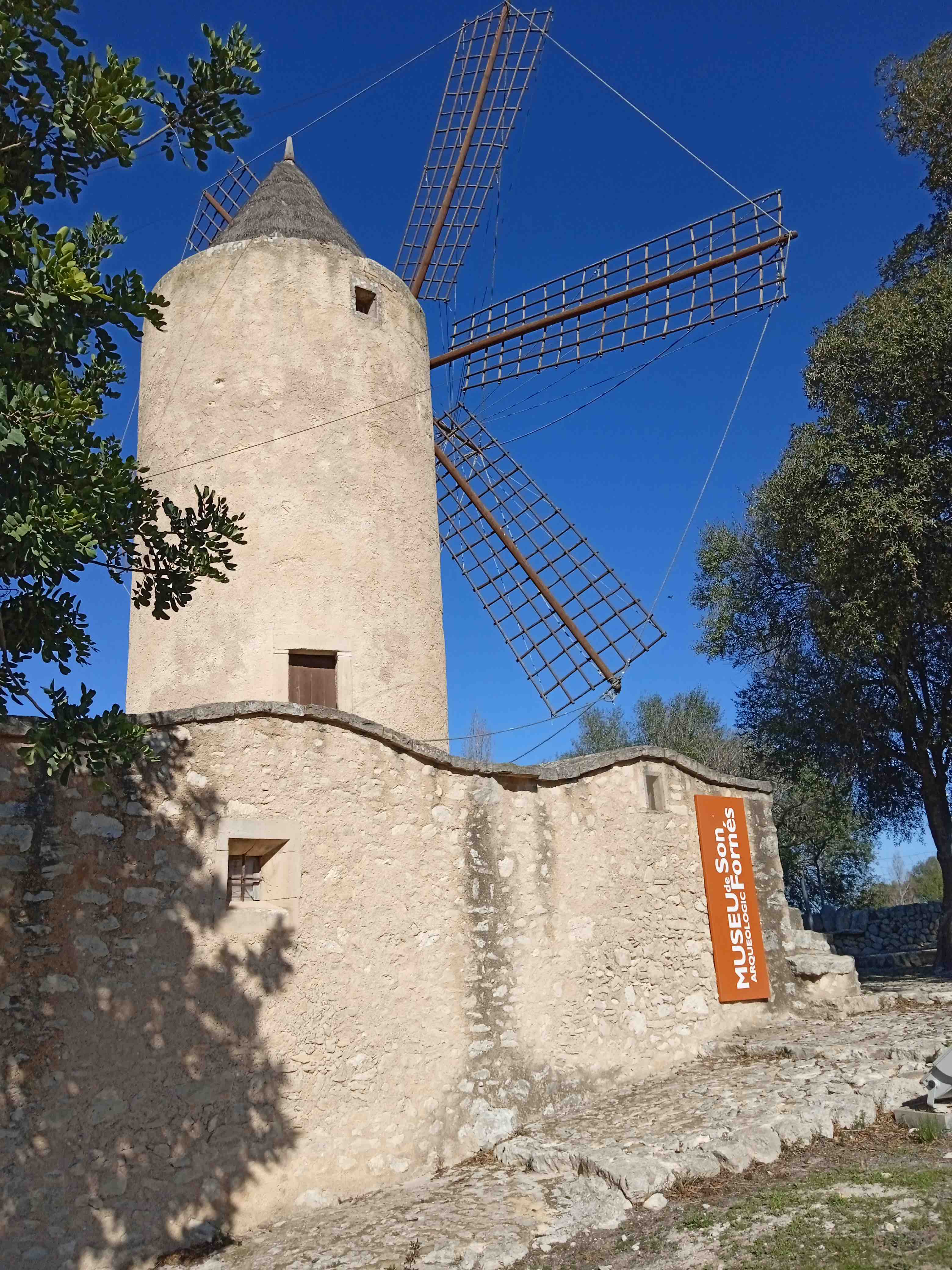 Museu Arqueològic Son Fornés