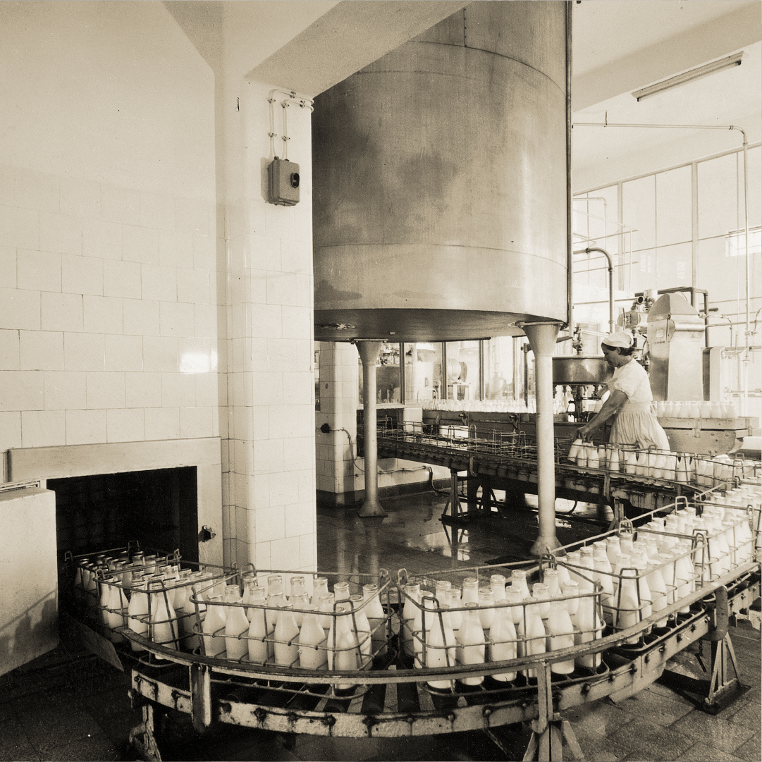 Leitaria da Quinta do Paço