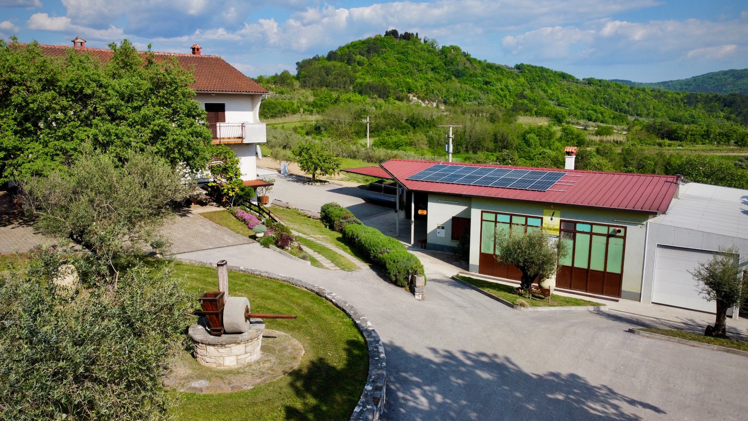 Černeka Olive Estate
