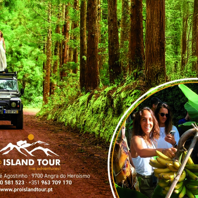 Proislandtour-passeios turisticos Lda