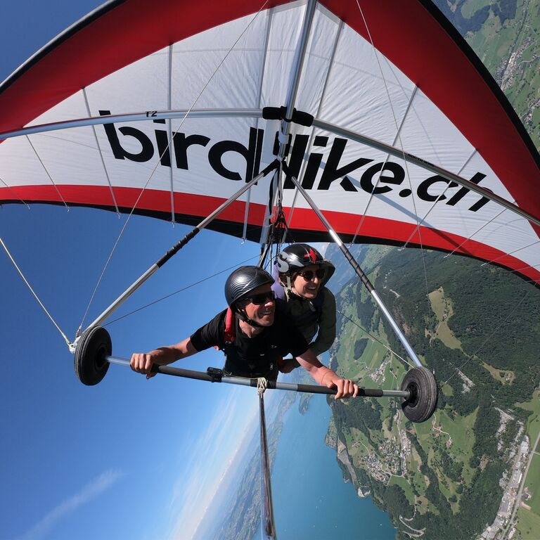 birdlike hang gliding