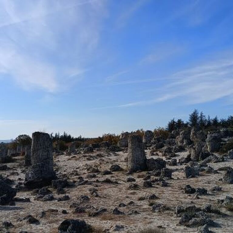 Travelnessto - guided tours and transfers