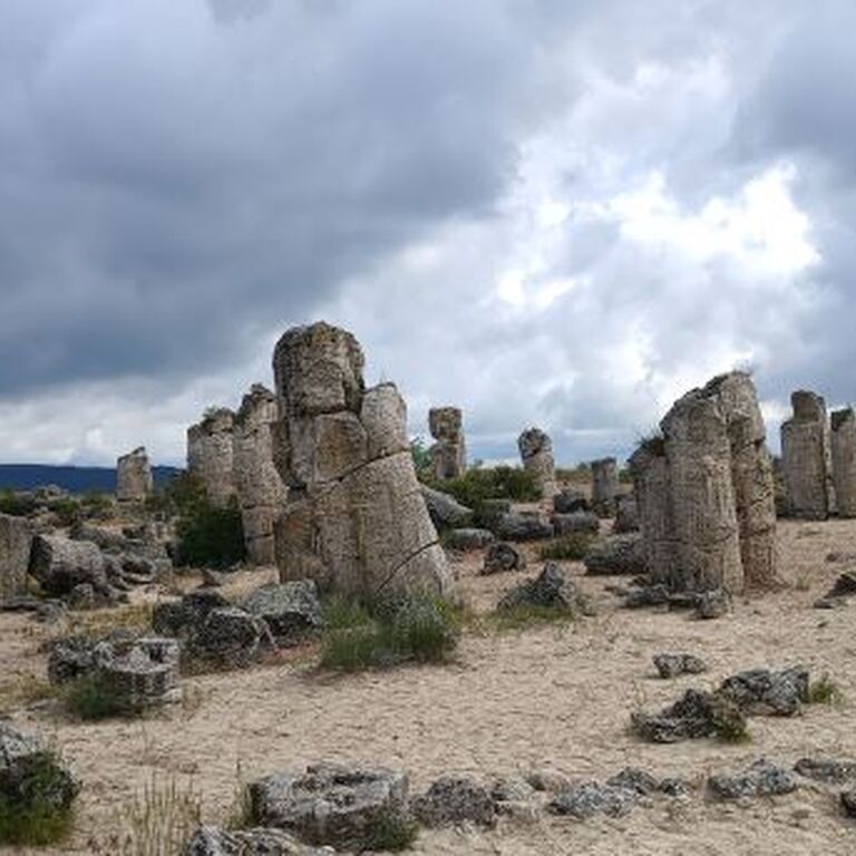 Travelnessto - guided tours and transfers