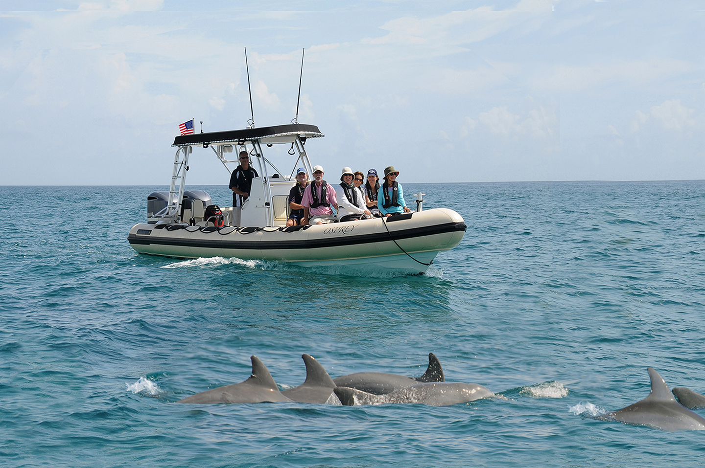 Palm Beach Dolphin Tours