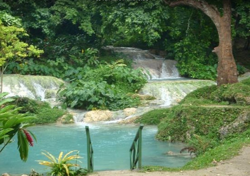 Seahorse Lodge Vanuatu