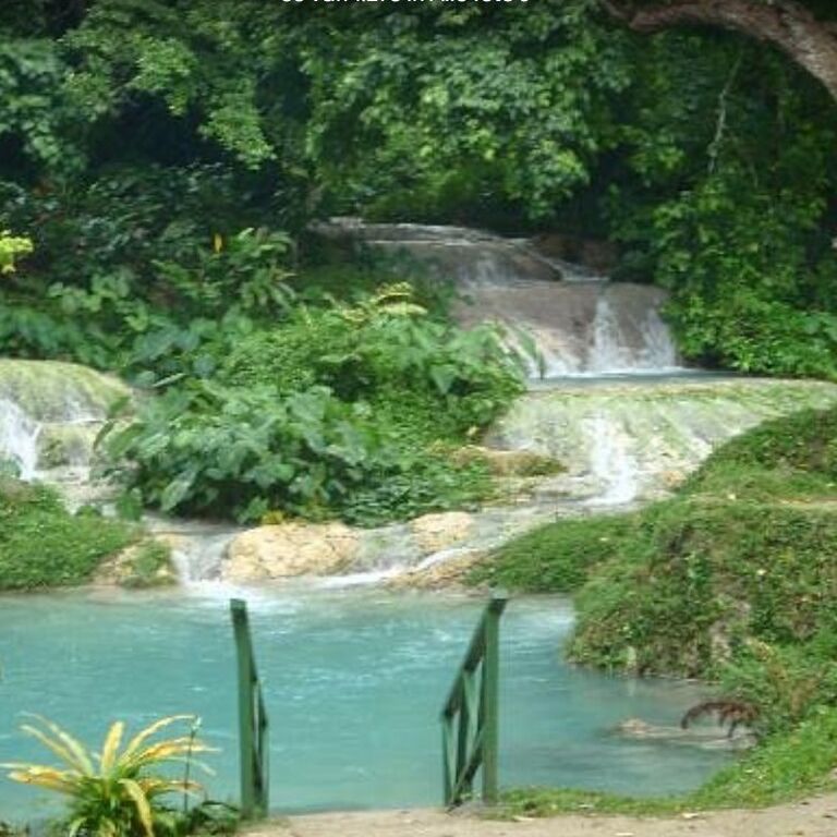 Seahorse Lodge Vanuatu