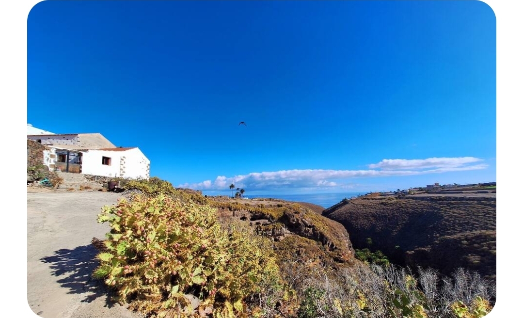 Finca la Suerte
