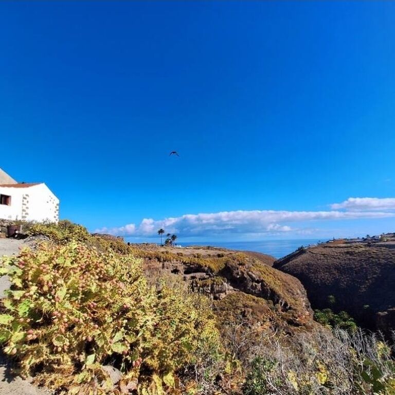 Finca la Suerte