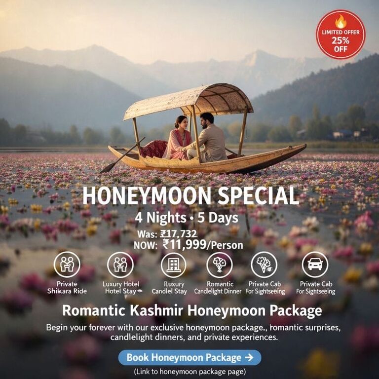 Kashmir Meridian tours and travels
