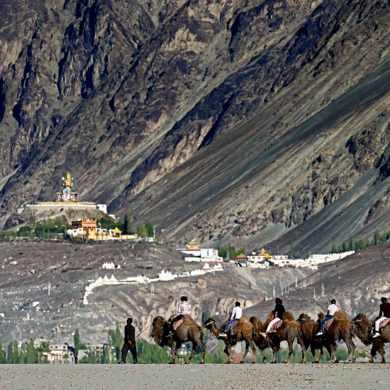 Ladakh Travel Hub