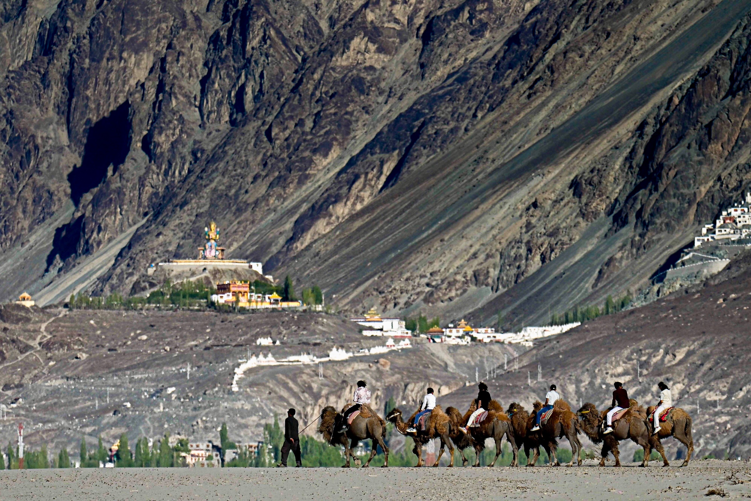 Ladakh Travel Hub
