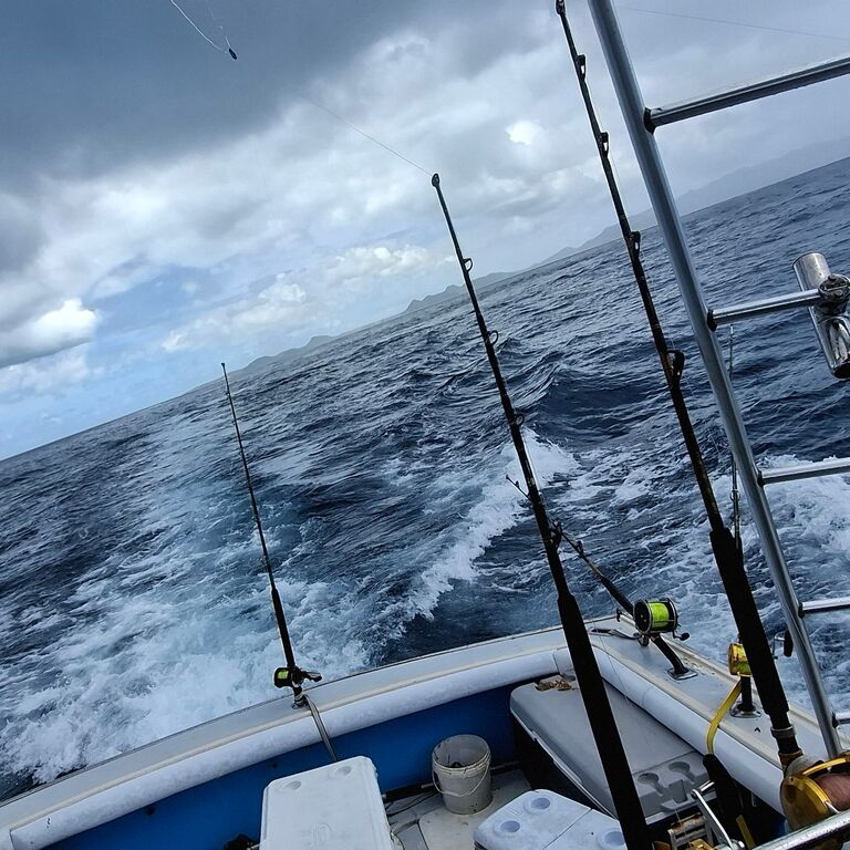 Blackfin sportfishing & tours
