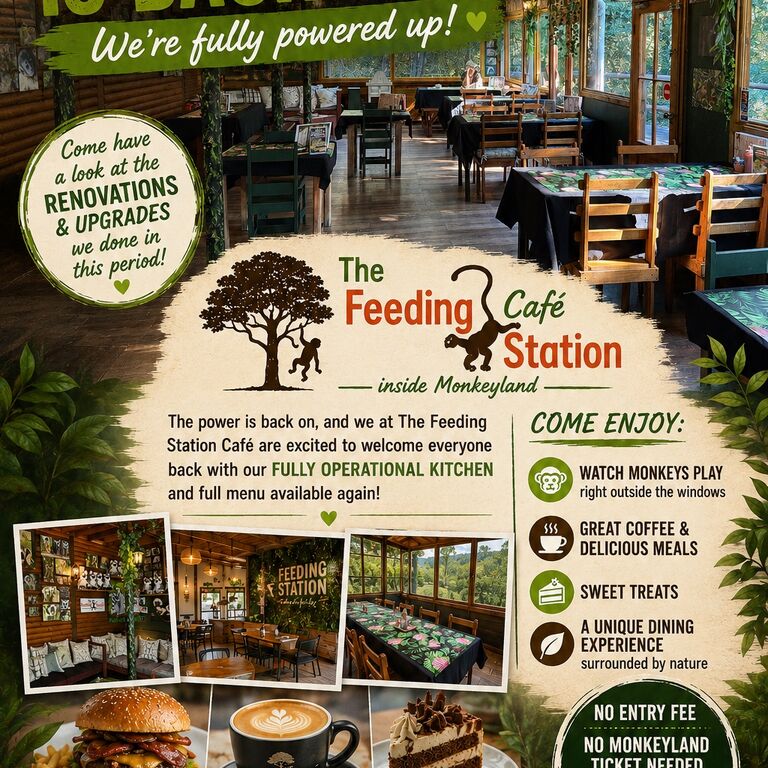 The Feeding Station Café