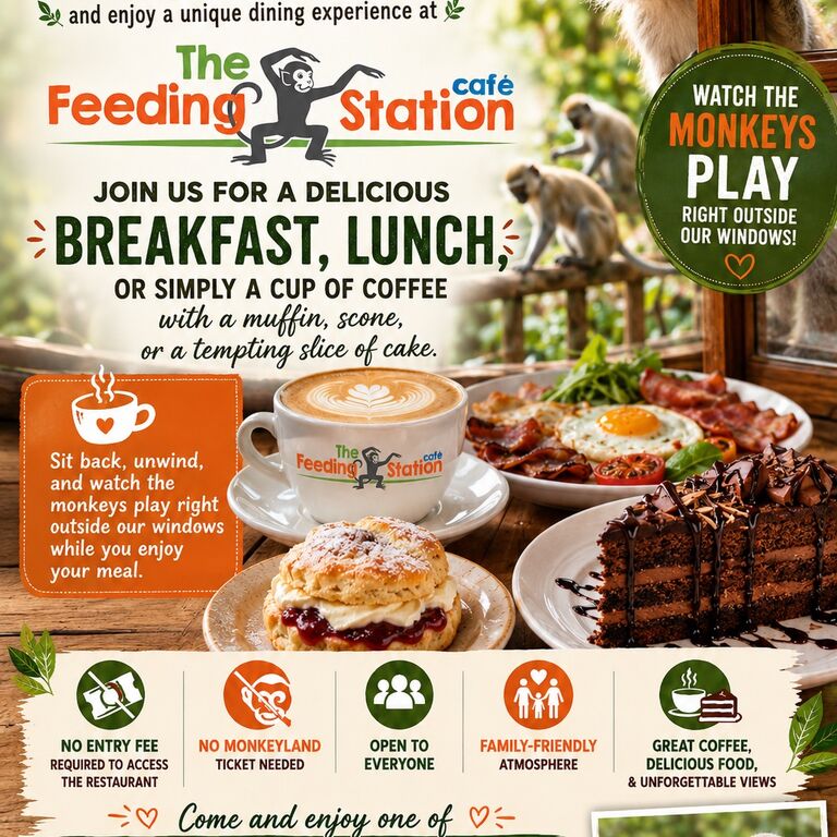 The Feeding Station Café