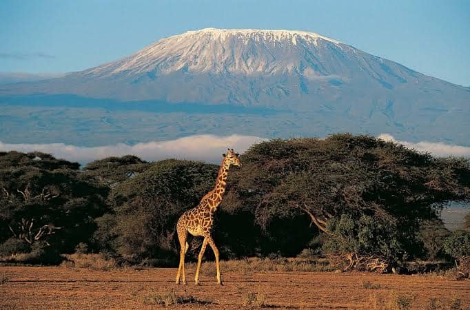 Dhahabu Tours & Safaris