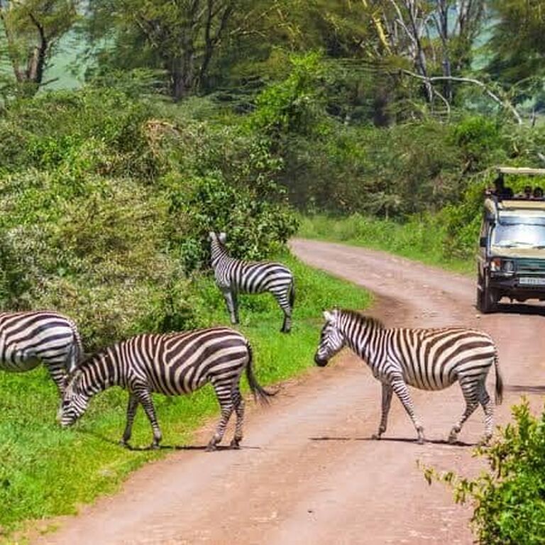 Dhahabu Tours & Safaris