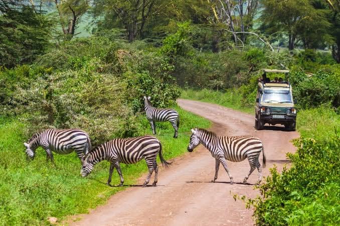 Dhahabu Tours & Safaris