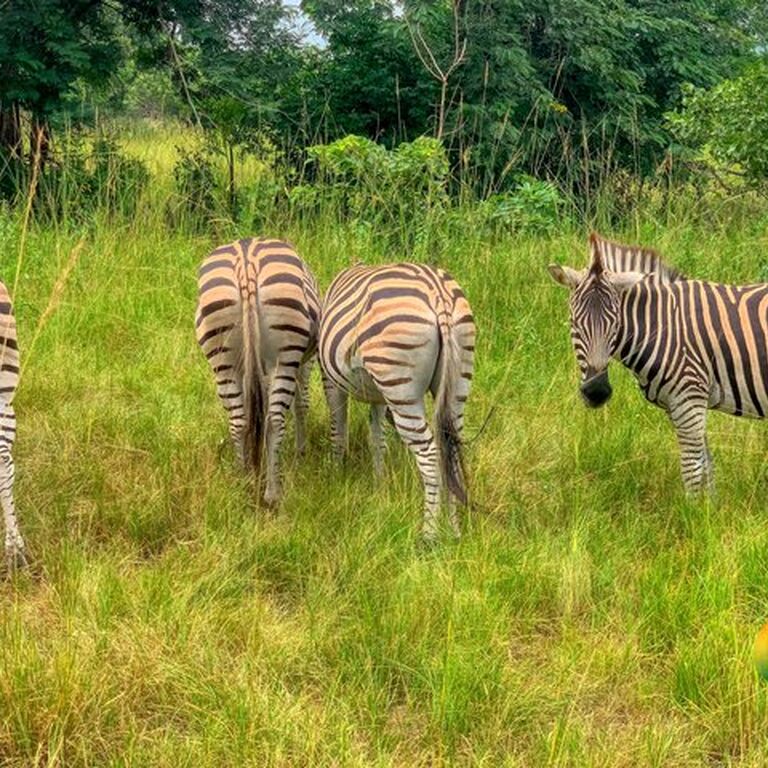 Best Of Africa Travels Ltd