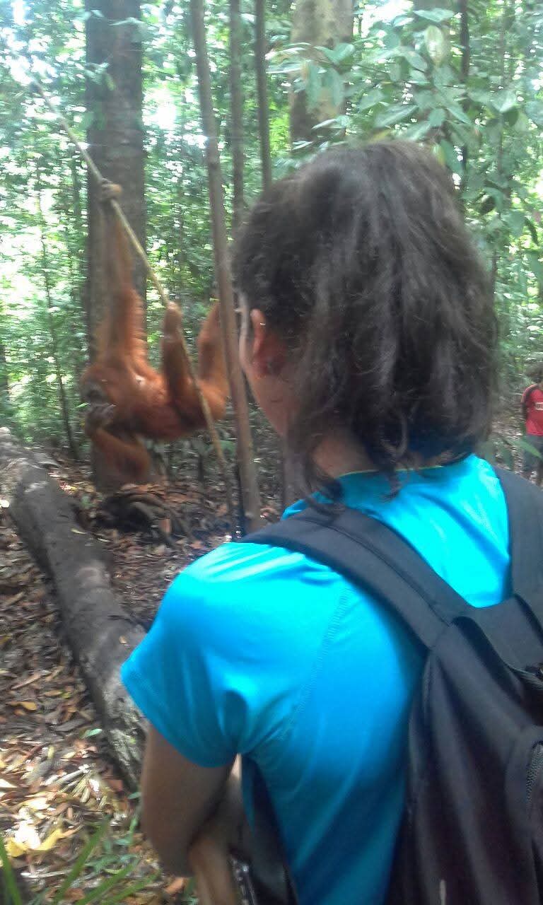 K77 Backpackers - Jungle Tours