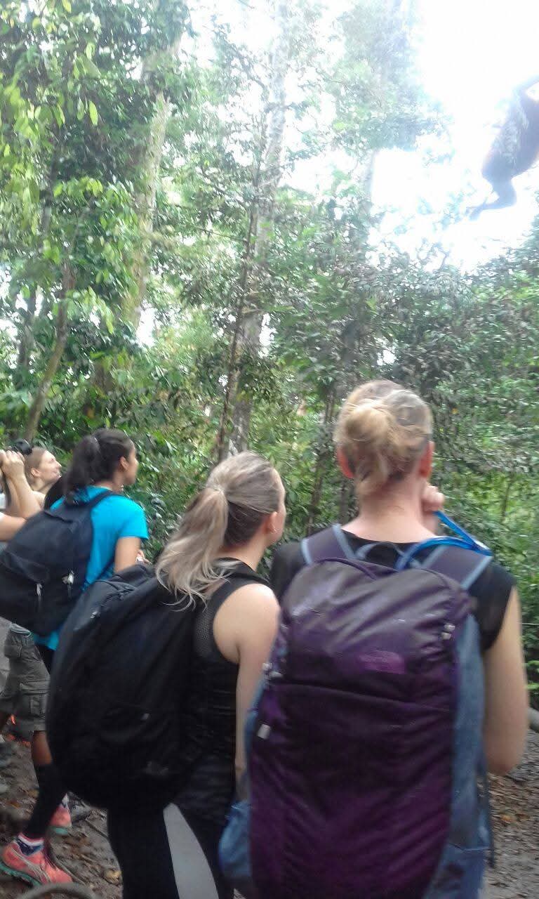 K77 Backpackers - Jungle Tours