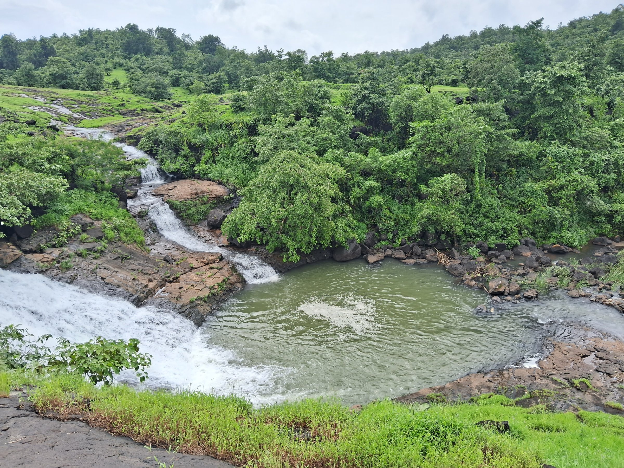 Desibandhu Farm