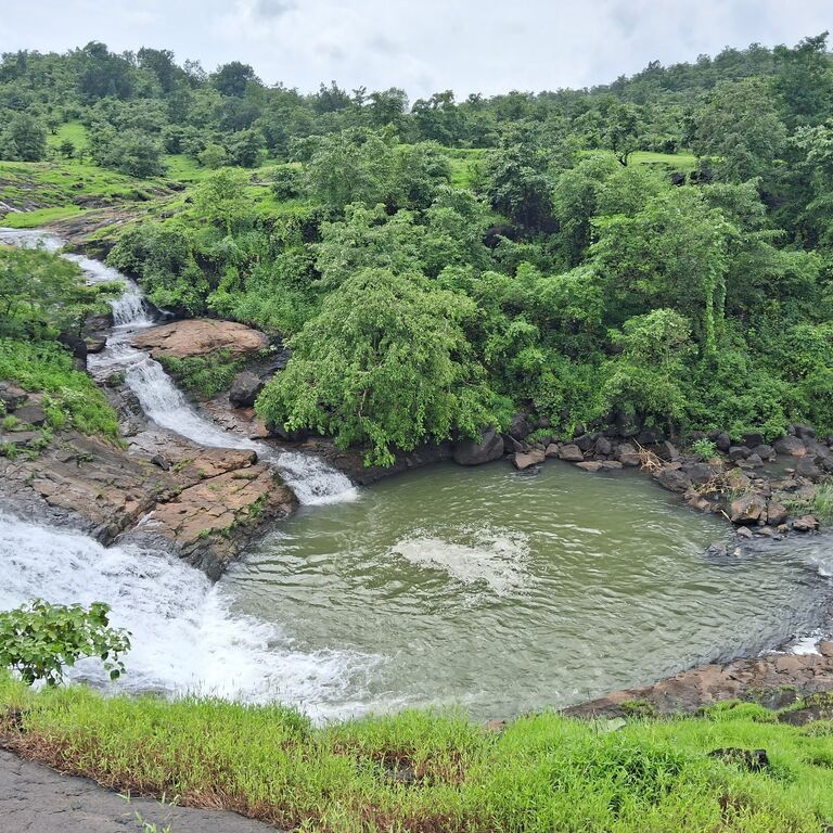 Desibandhu Farm
