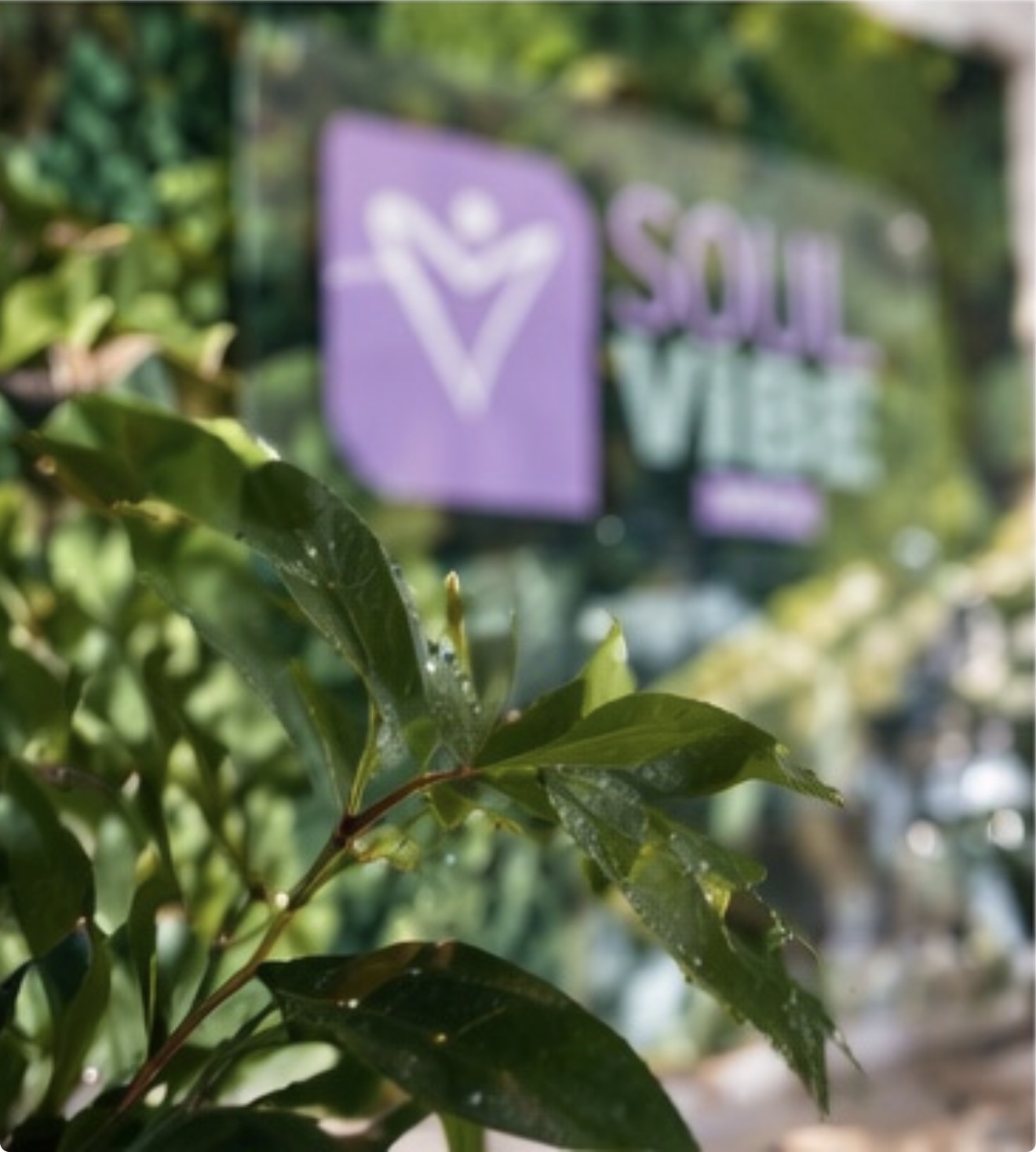 Soul Vibe Space