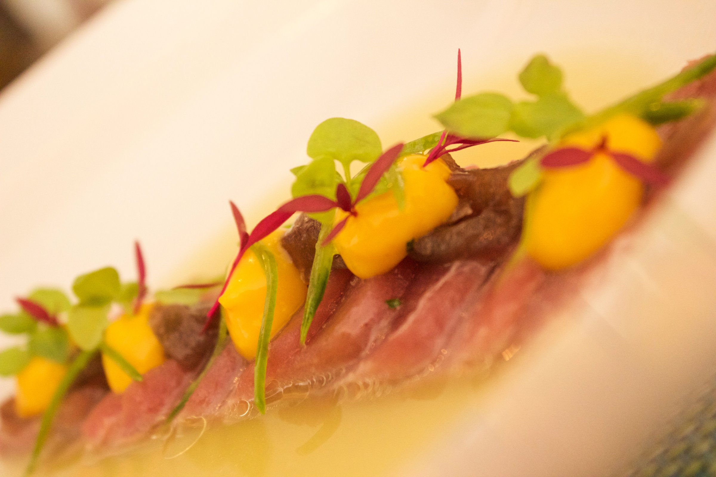 Wine & Food