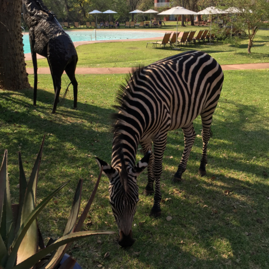 TANZANIA SAFARI HOUSE