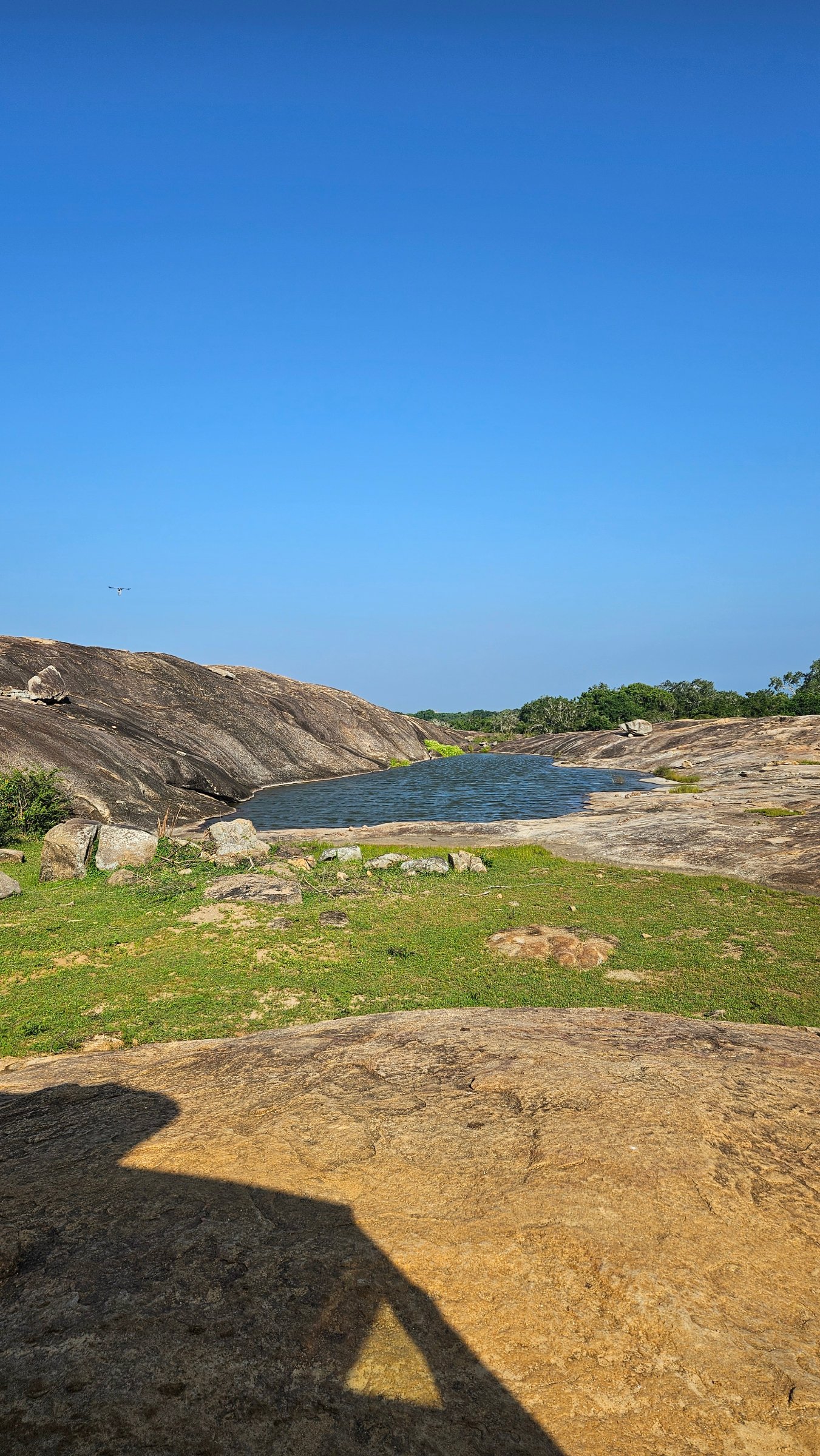W mango safari tours